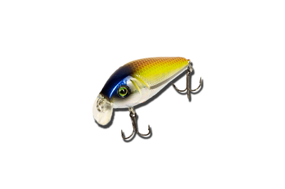 Воблер EOS LB7 Surgi Crank ( 50mm/8.5g/color:HA10 ) Floating  ― w-pelican.com