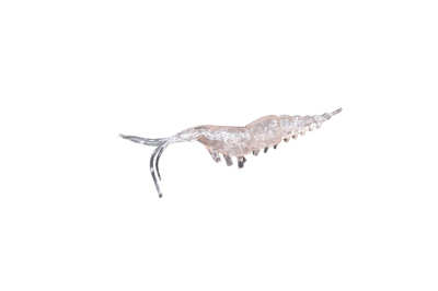 Силикон EOS Crawfish  2,8"/70мм  color:502 ( в уп.5 шт.) ― w-pelican.com