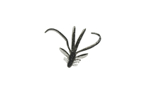 Силикон EOS Creatures 2"/50мм color:603 ( в уп.10 шт.)