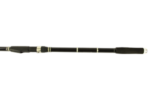 Спиннинг SWD Spike Tele Carp