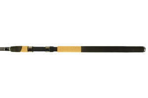 Спиннинг SWD Carbon Bird