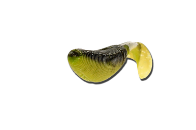 Силикон съедобный EOS Real Bait 39075WH (7.5см. сolor:08 в уп.15шт.)