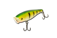 Воблер EOS LB7 Aim Popper 90 ( 90mm/15.2g/color:SW01 ) Floating