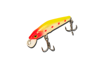 Воблер EOS LB7 Rider Minnow 50S ( 50mm/3.5g/color:WM04 ) Sinking 