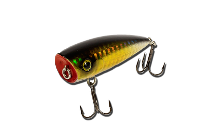 Воблер EOS Popper 9059 60мм 8гр. SLW13 Top Water  ― w-pelican.com