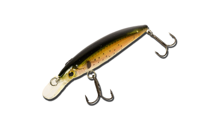 Воблер EOS Minnow 9006 100мм 13,6гр. L16 Floating  ― w-pelican.com