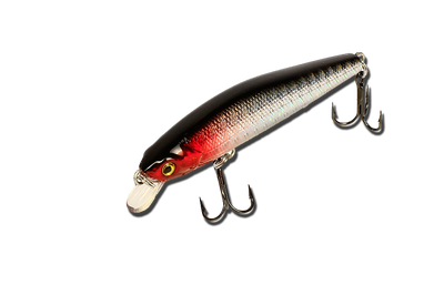 Воблер EOS MINNOW 65F 3136 65мм 4,6гр. B48 Floating  ― w-pelican.com